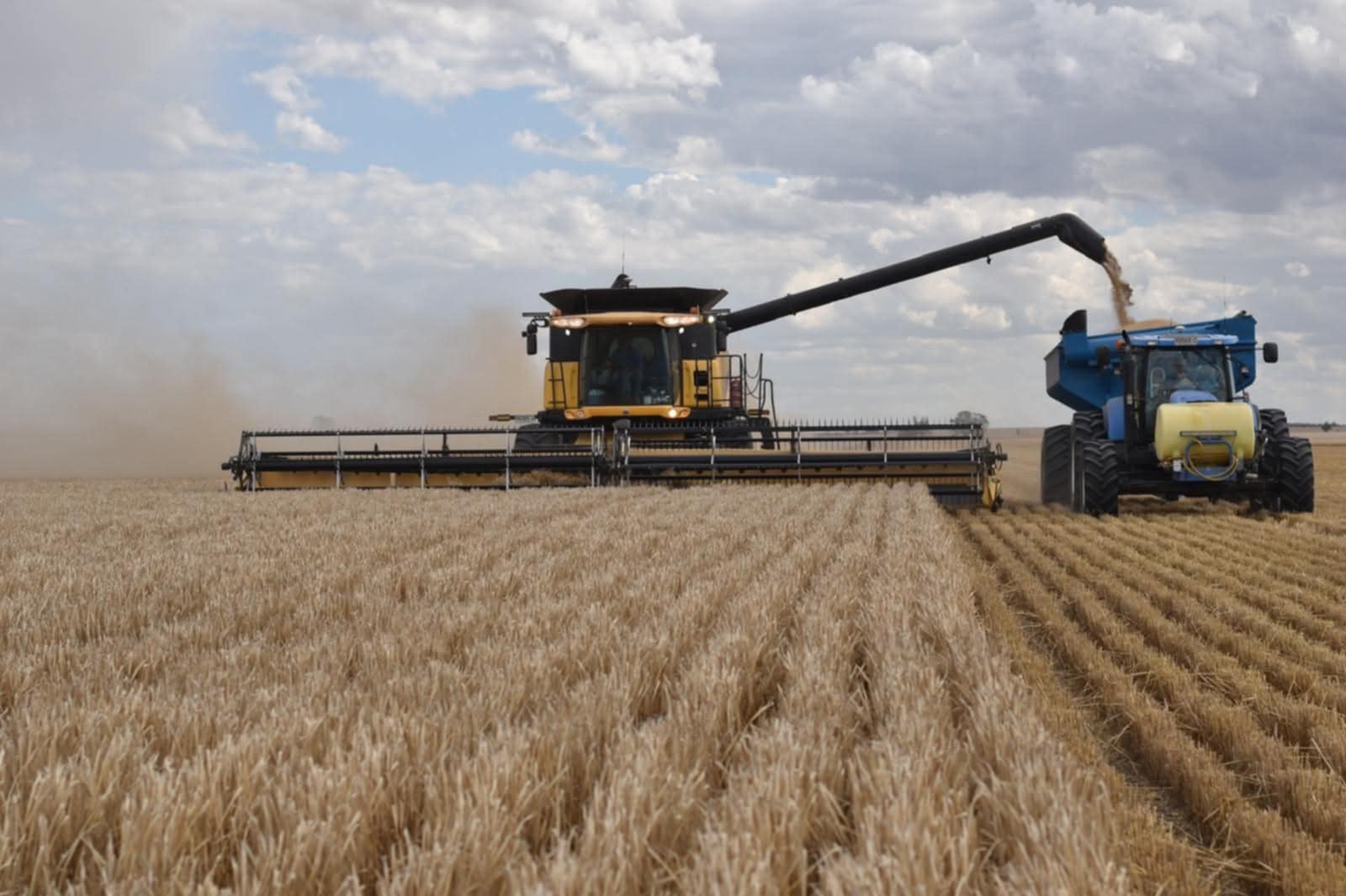 Emergency response contractors